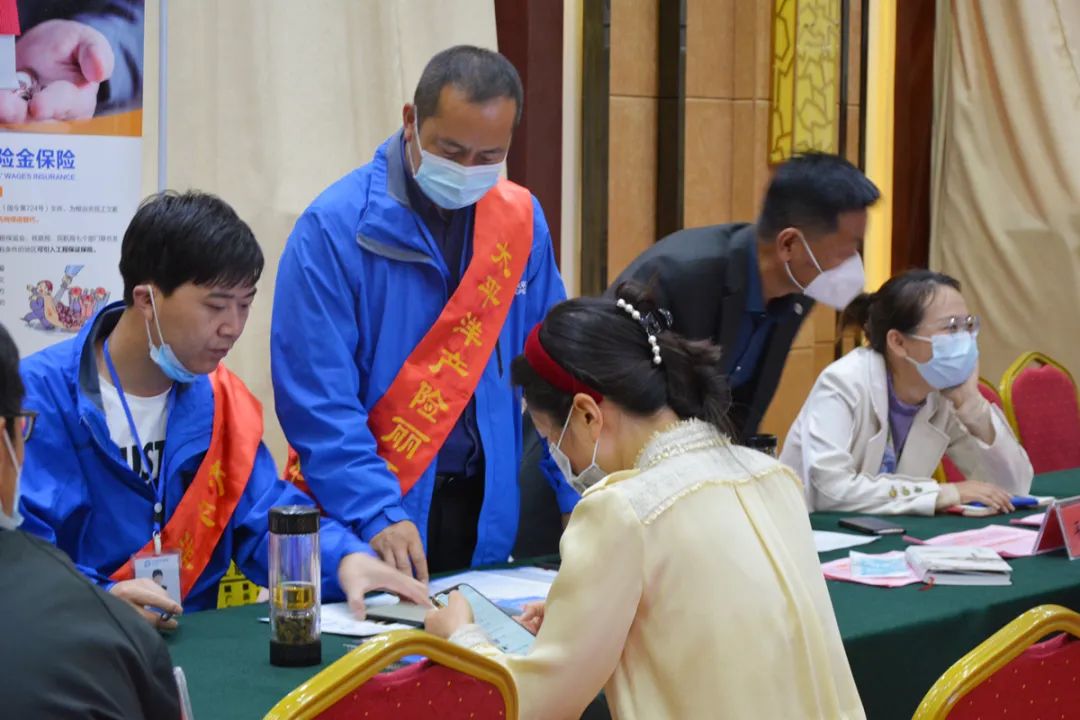 复制图片 图片