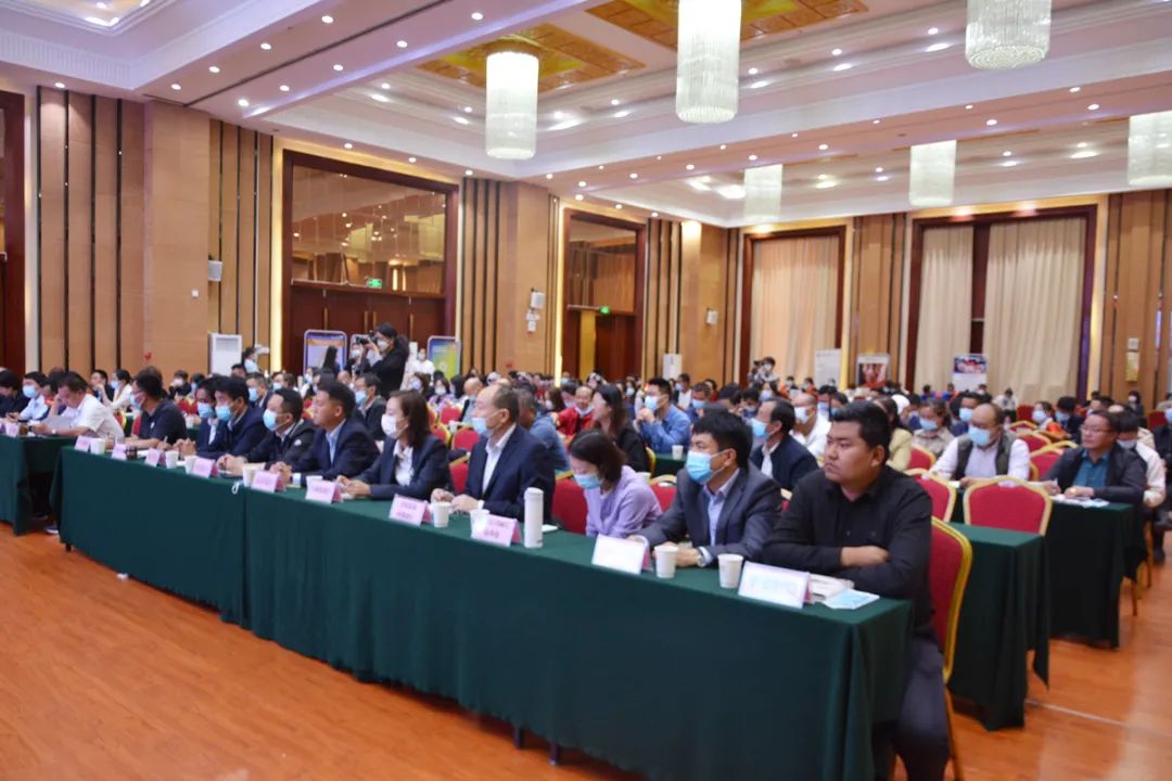 复制图片 图片
